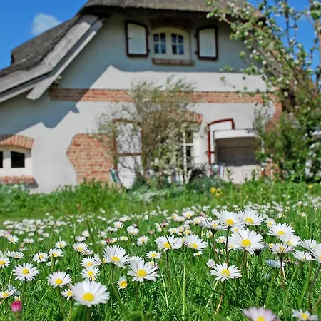 Unterm Reetdach Sellin (Rugen)